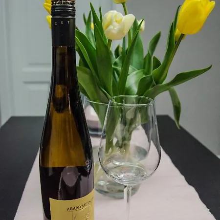 Fuerge Cselle Apartmán *